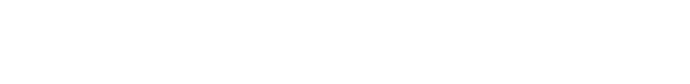 ZoomLine Logo