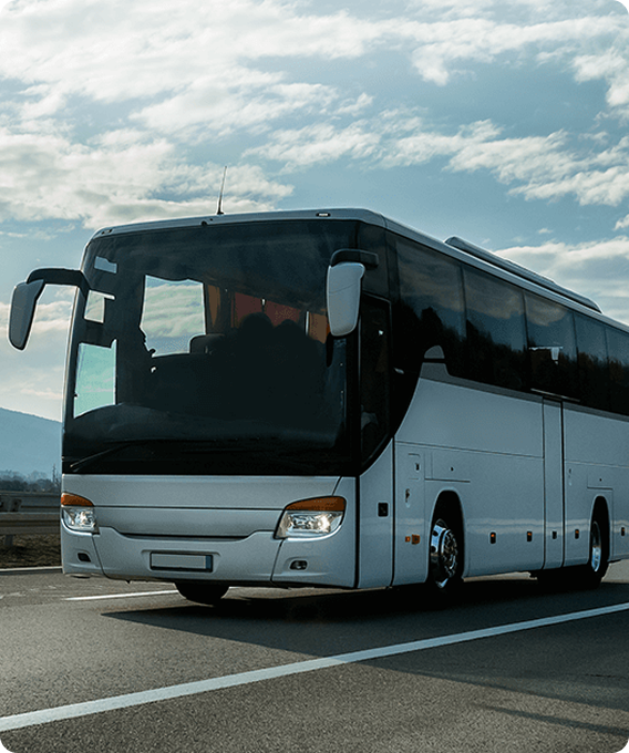 Zoomline bus gallery image 3